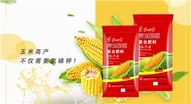紅四方玉米肥