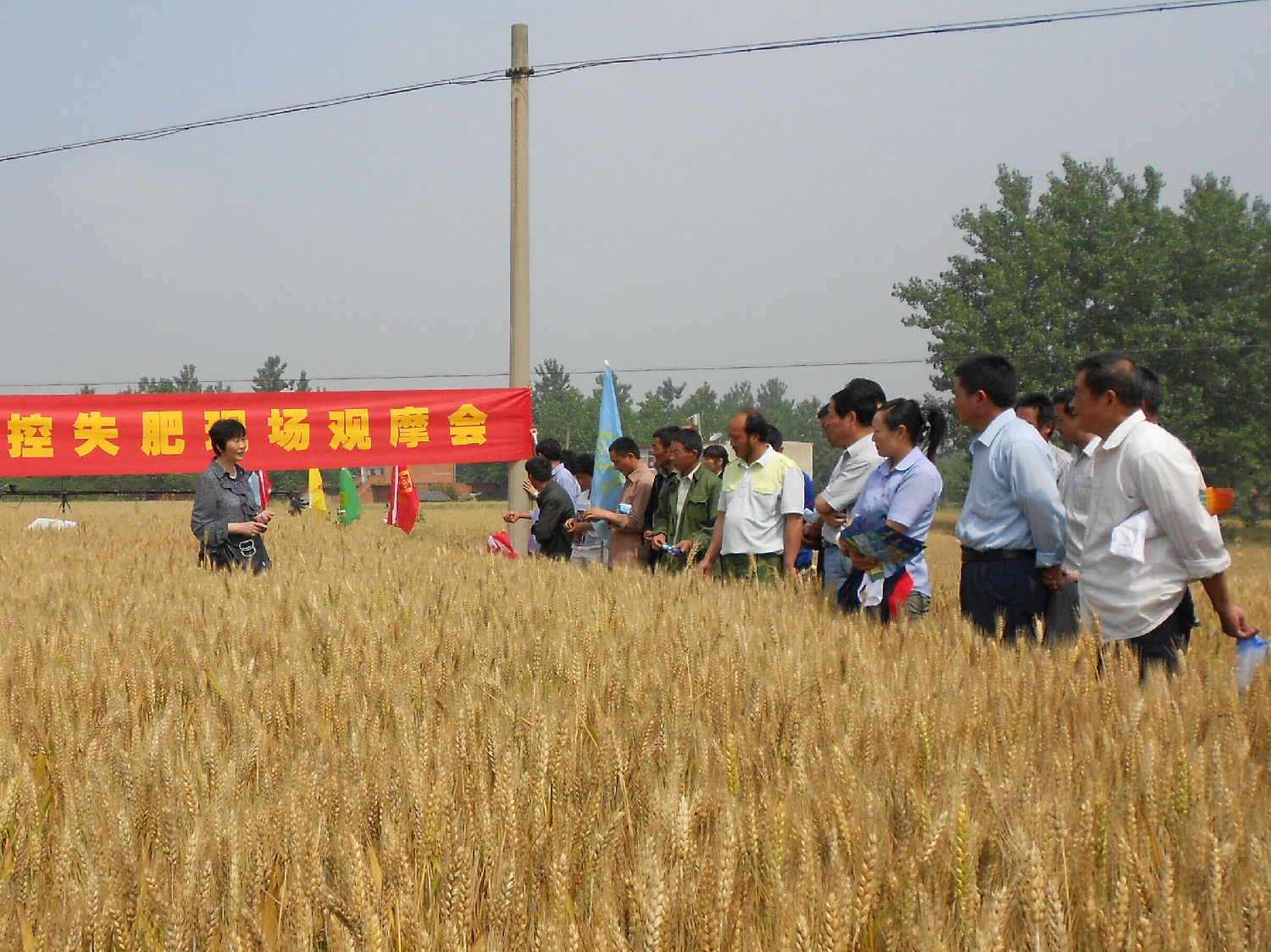 紅四方控失復合肥