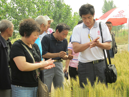 6619571272119015646.jpg 圖片2.jpg