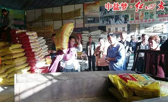 在山東金鄉羊山,因紅四方肥料的效果出類拔萃 在山東金鄉羊山,因紅四方肥料的效果出類拔萃