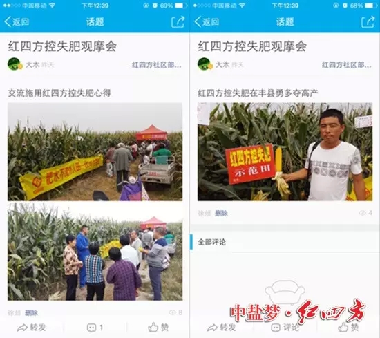 網友大木曬紅四方玉米控失肥的豐收之景