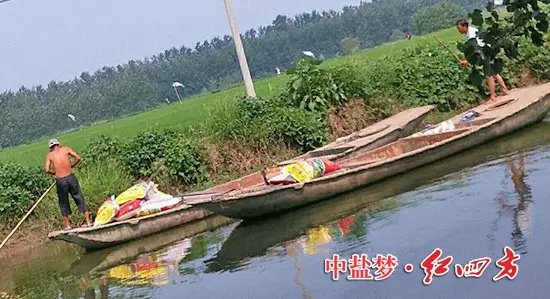 擺渡的人甩開膀子干活，將一袋袋紅四方蓮藕專用肥運往藕塘&hellip;&hellip;.