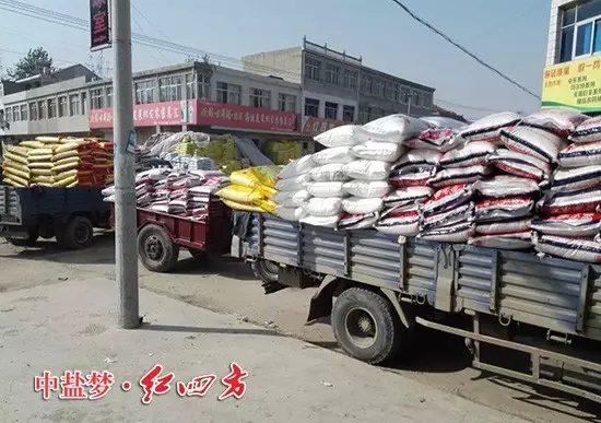 剛到的紅四方復合肥就拖走了三大車，肥料不等人，來晚了可就沒有嘍！