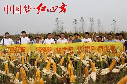 中鹽紅四方一直將產(chǎn)品創(chuàng)新作為企業(yè)發(fā)展的第一要?jiǎng)?wù),大力開(kāi)展農(nóng)化服務(wù)和新型肥料。 中鹽紅四方一直將產(chǎn)品創(chuàng)新作為企業(yè)發(fā)展的第一要?jiǎng)?wù),大力開(kāi)展農(nóng)化服務(wù)和新型肥料。