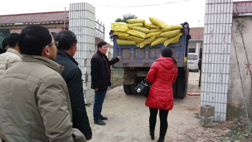 中鹽紅四方復合肥企業攜手定遠農委送肥下鄉