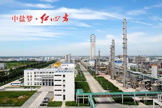 中鹽紅四方新區生產中心 中鹽紅四方新區生產中心