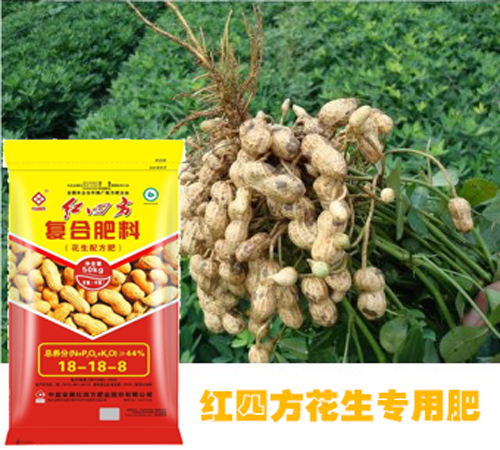 花生喜歡什么肥料?紅四方花生專用肥挺好! 花生喜歡什么肥料?紅四方花生專用肥挺好!