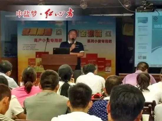 我將在茶區和果區大力推廣紅四方肥料,我要在名山做大做強紅四方。 我將在茶區和果區大力推廣紅四方肥料,我要在名山做大做強紅四方。