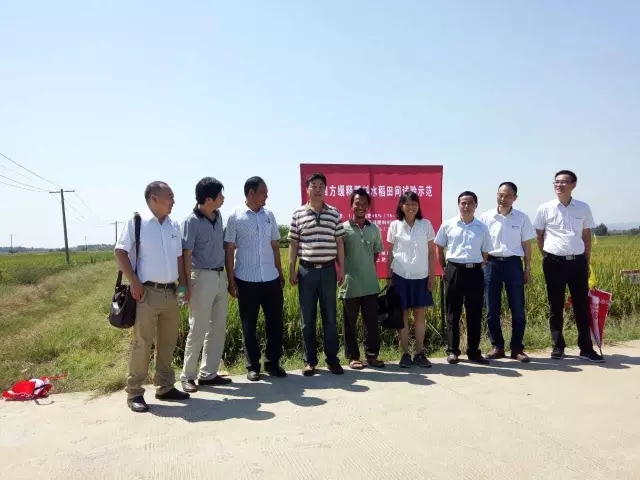 31個實驗點,真實數據驗證產品效果 31個實驗點,真實數據驗證產品效果