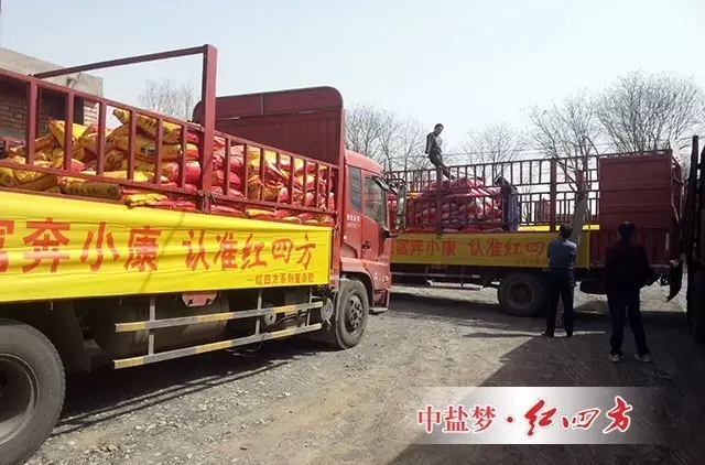 紅四方蘋果肥熱銷 紅四方蘋果肥熱銷