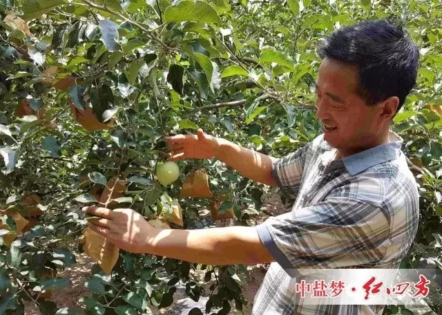 2016年7月7日回訪,觀察袋內(nèi)果實。 2016年7月7日回訪,觀察袋內(nèi)果實。