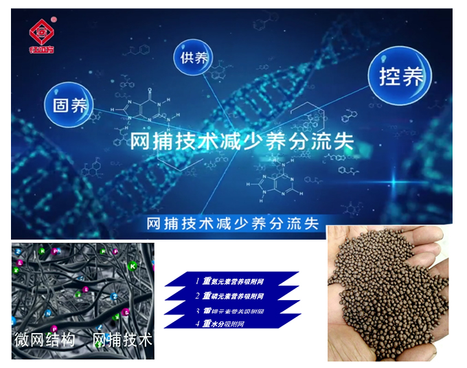 紅四方養(yǎng)吧控失肥