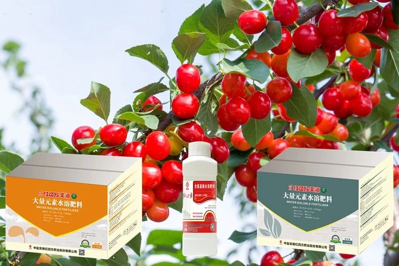 微信圖片_20231027094521.jpg 微信圖片_20231027094521.jpg