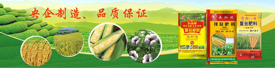 品牌復(fù)合肥 品牌復(fù)合肥